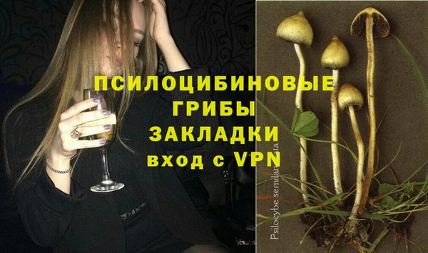 мяу мяу мука Каменск-Шахтинский