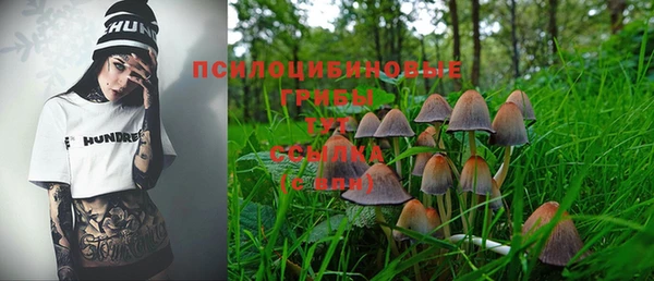 наркотики Каменка