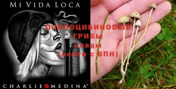 наркотики Каменка