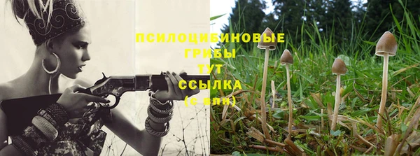 мяу мяу мука Каменск-Шахтинский