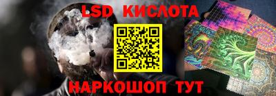 PSILOCYBIN Гай