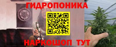 PSILOCYBIN Гай