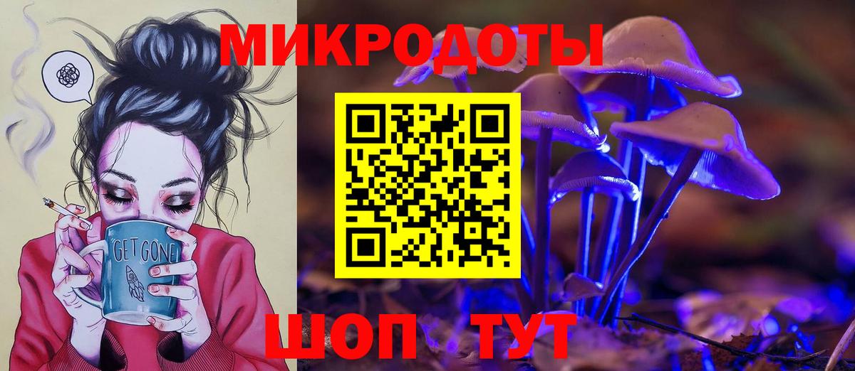 Псилоцибиновые грибы прущие грибы  Вход с VPN  где найти   Нижнекамск 